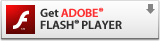 [Adobe Flash Player]